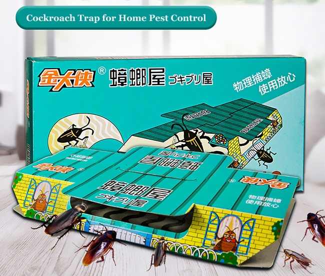 Cockroach Trap